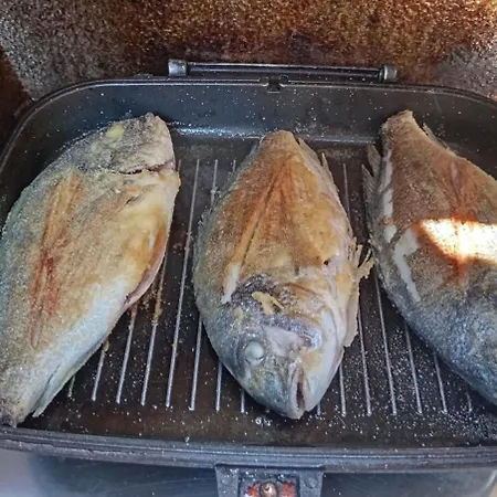 2-cottage Yacht With 2 Showers Båthotell *